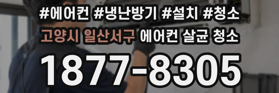 고양시 일산서구 에어컨 살균 청소