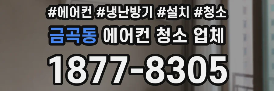금곡동 에어컨 청소 업체