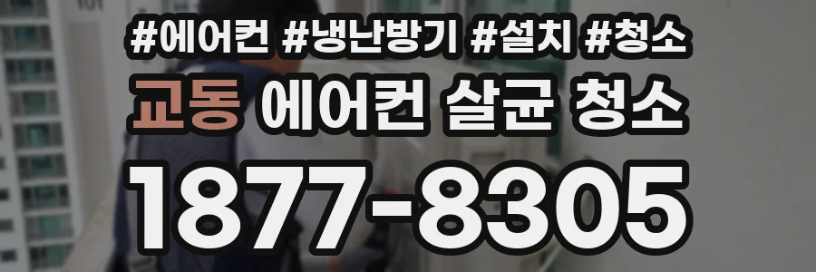 교동 에어컨 살균 청소