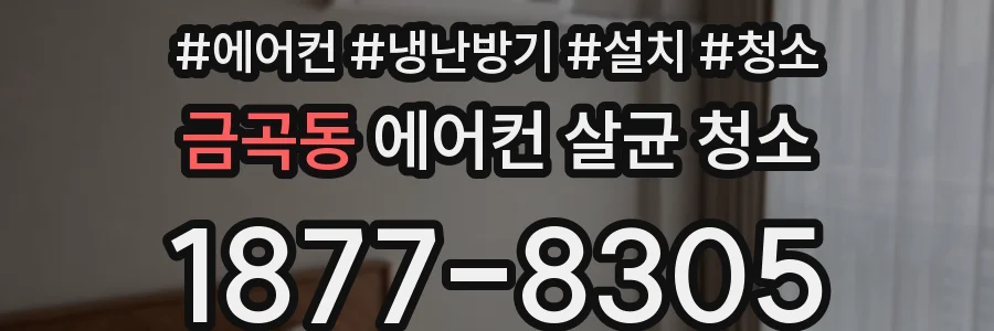 금곡동 에어컨 살균 청소