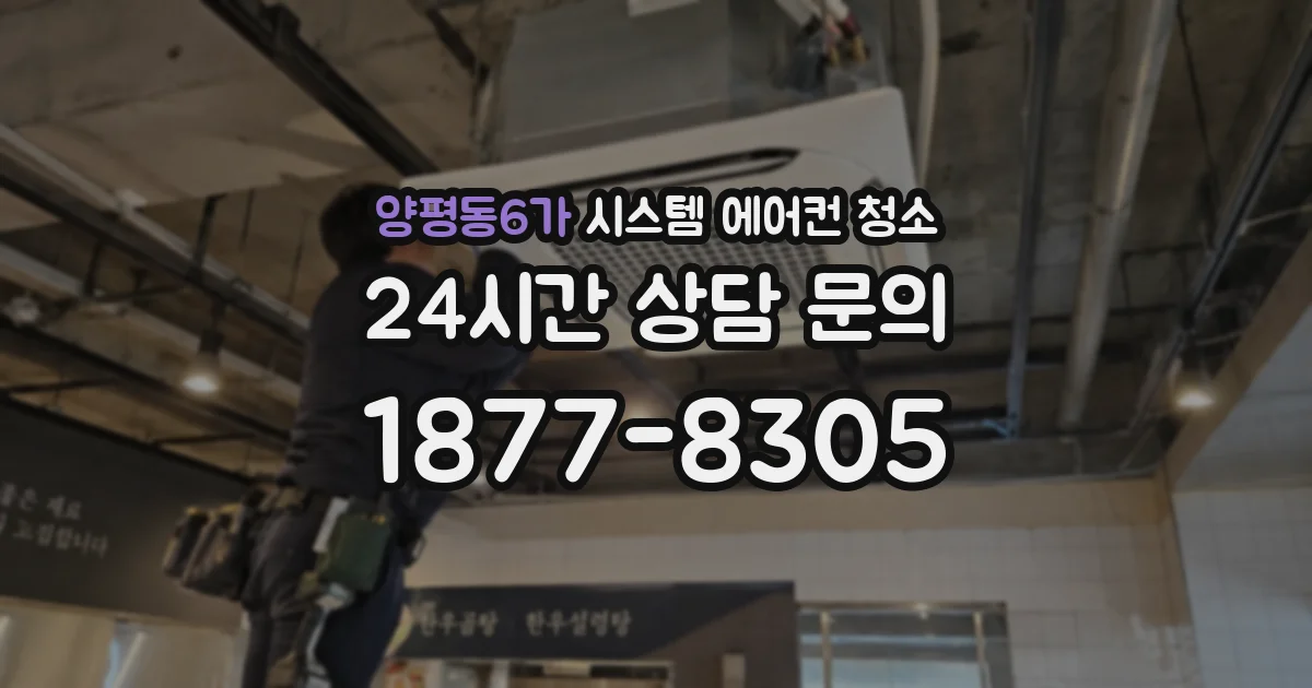 양평동6가 시스템 에어컨 청소