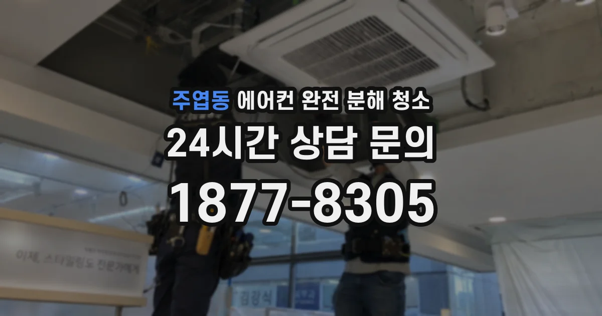주엽동 에어컨 완전 분해 청소