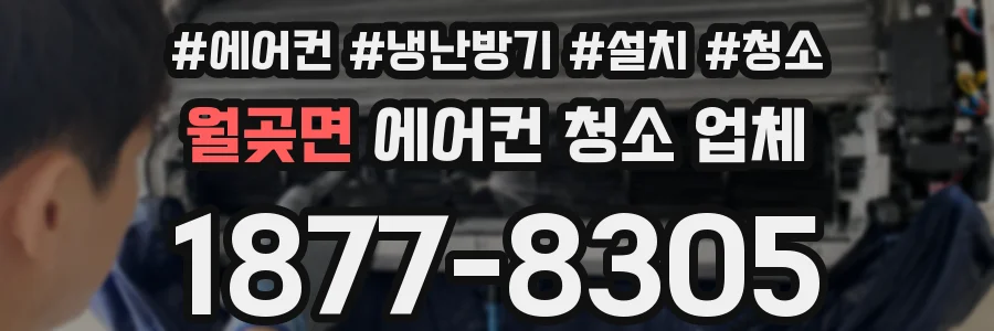 월곶면 에어컨 청소 업체
