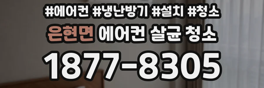 은현면 에어컨 살균 청소
