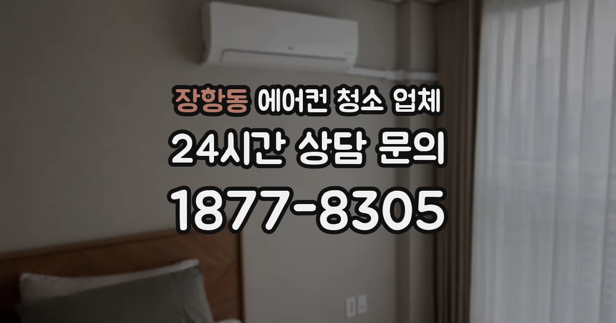 장항동 에어컨 청소 업체