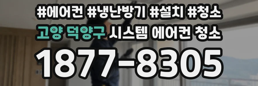 고양 덕양구 시스템 에어컨 청소