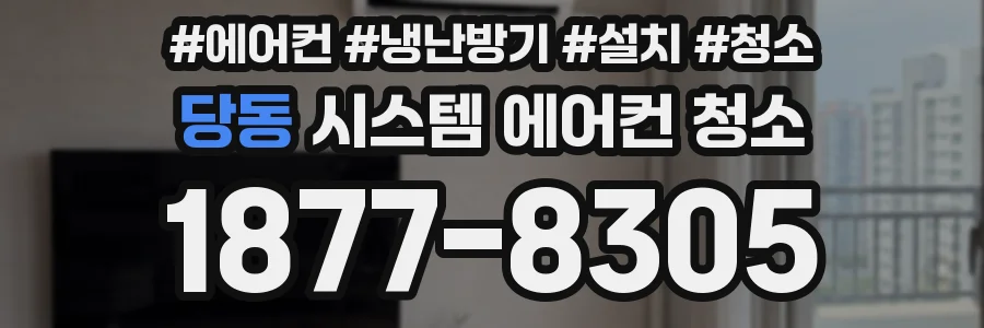 당동 시스템 에어컨 청소
