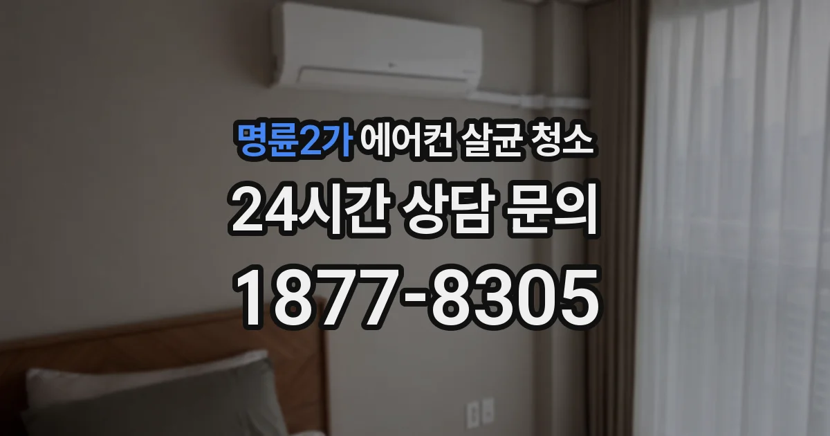 명륜2가 에어컨 살균 청소