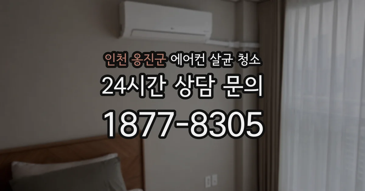 인천 옹진군 에어컨 살균 청소