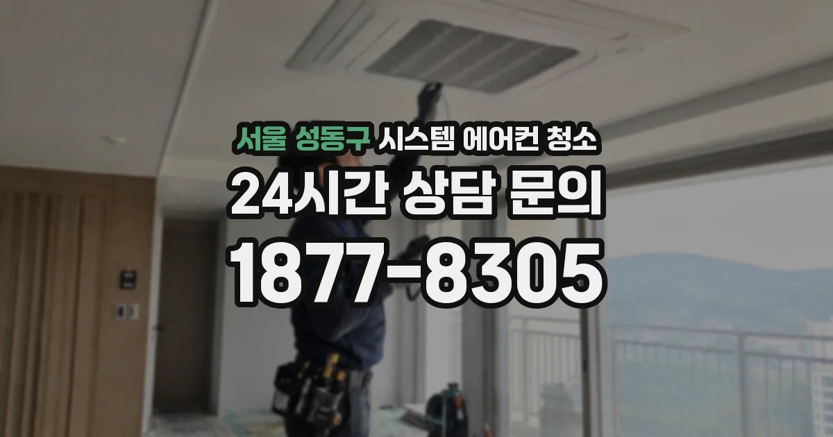서울 성동구 시스템 에어컨 청소