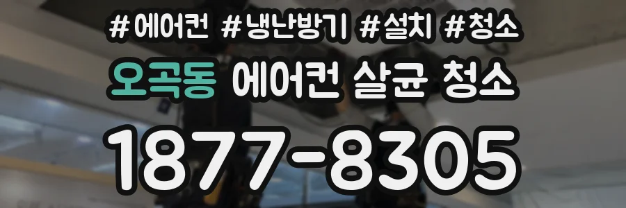 오곡동 에어컨 살균 청소