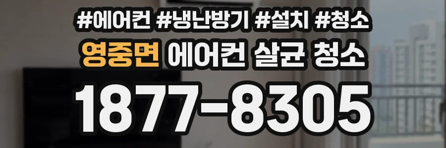 영중면 에어컨 살균 청소