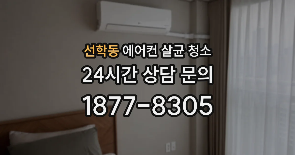선학동 에어컨 살균 청소