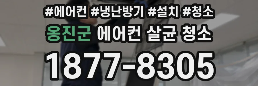 옹진군 에어컨 살균 청소