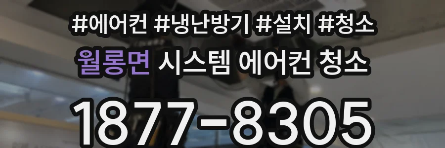 월롱면 시스템 에어컨 청소