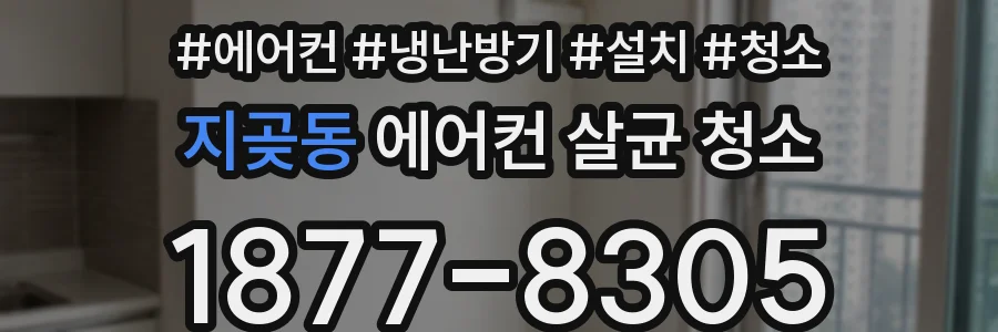 지곶동 에어컨 살균 청소