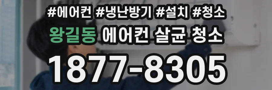 왕길동 에어컨 살균 청소