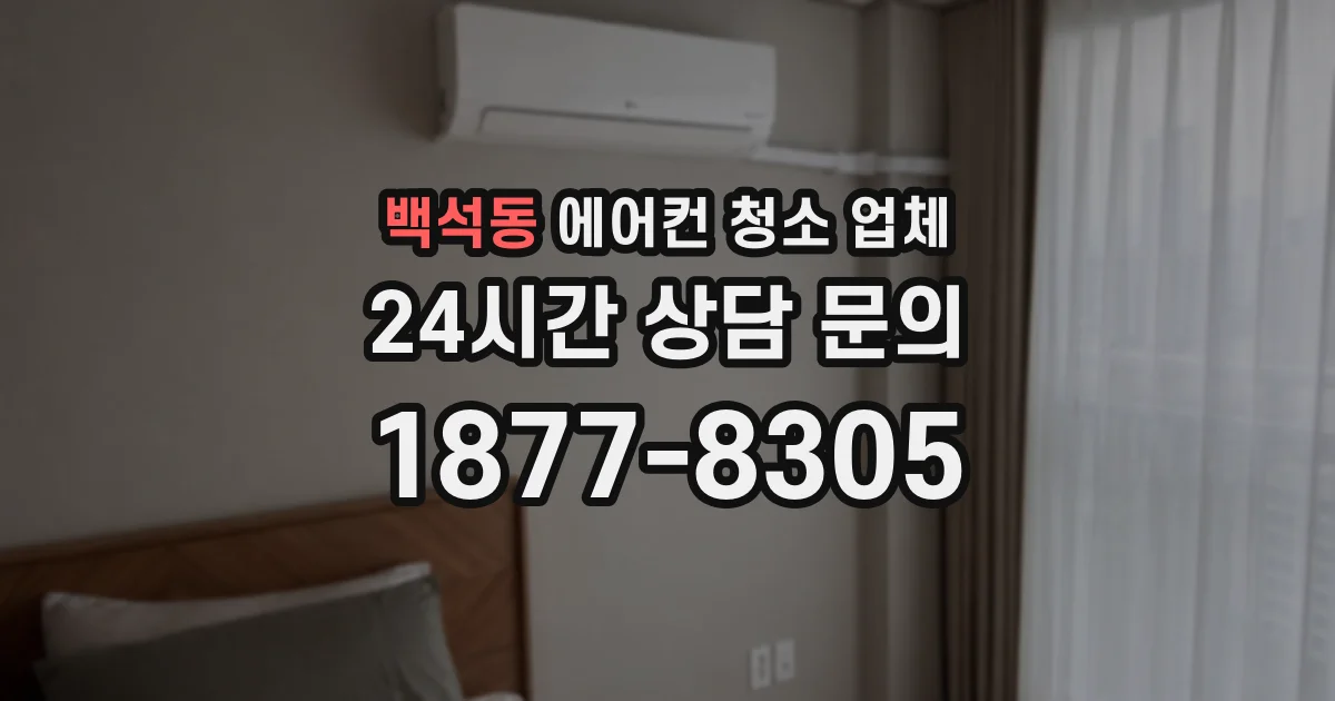백석동 에어컨 청소 업체