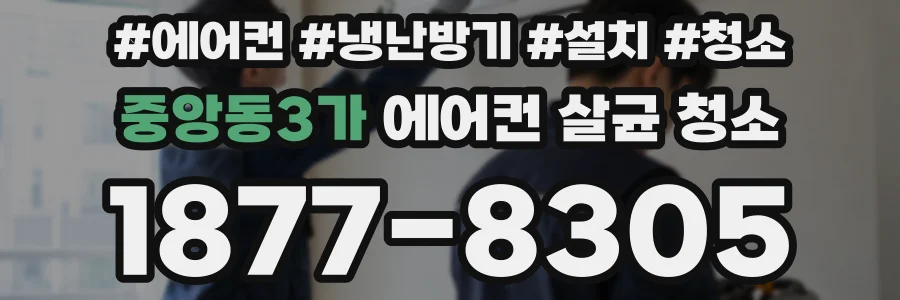 중앙동3가 에어컨 살균 청소