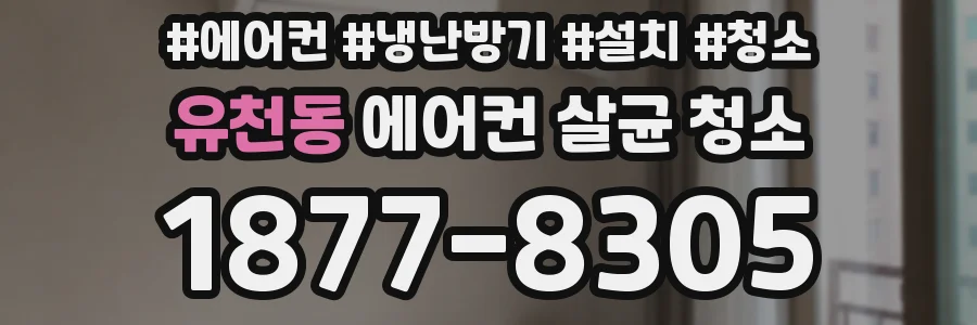 유천동 에어컨 살균 청소