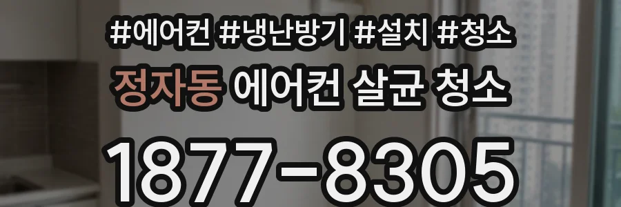 정자동 에어컨 살균 청소