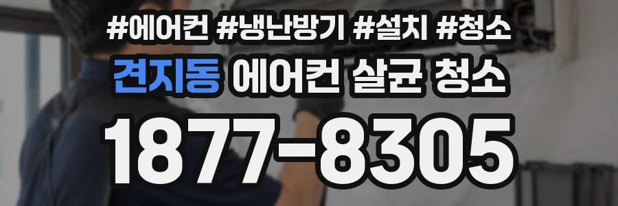 견지동 에어컨 살균 청소