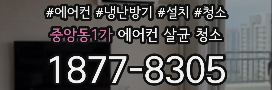중앙동1가 에어컨 살균 청소