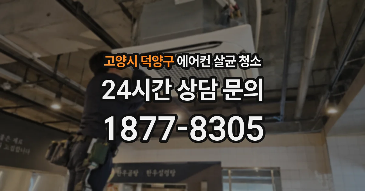고양시 덕양구 에어컨 살균 청소