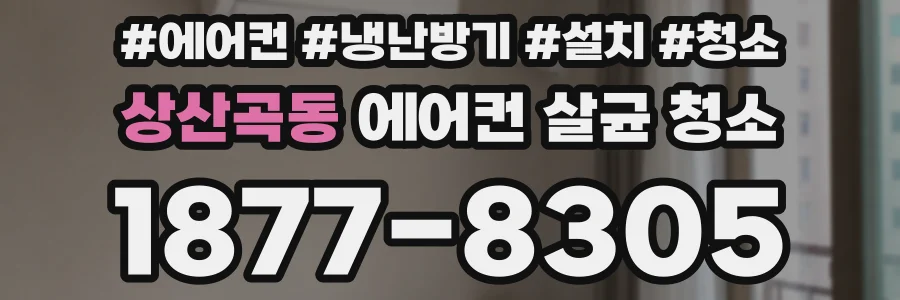 상산곡동 에어컨 살균 청소