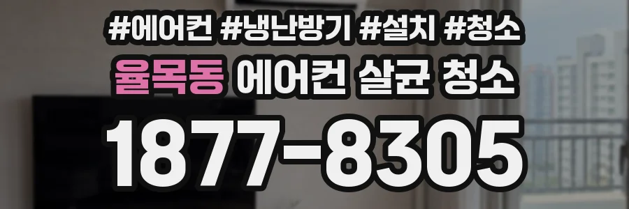 율목동 에어컨 살균 청소