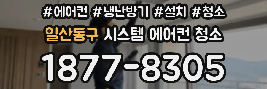 일산동구 시스템 에어컨 청소