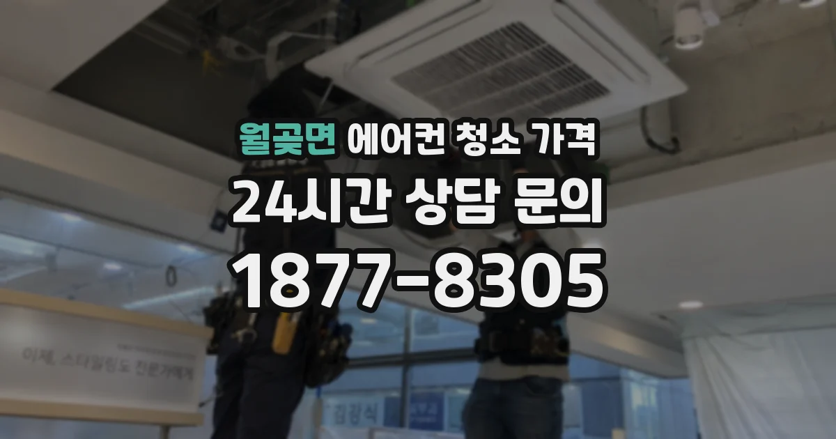 월곶면 에어컨 청소 가격
