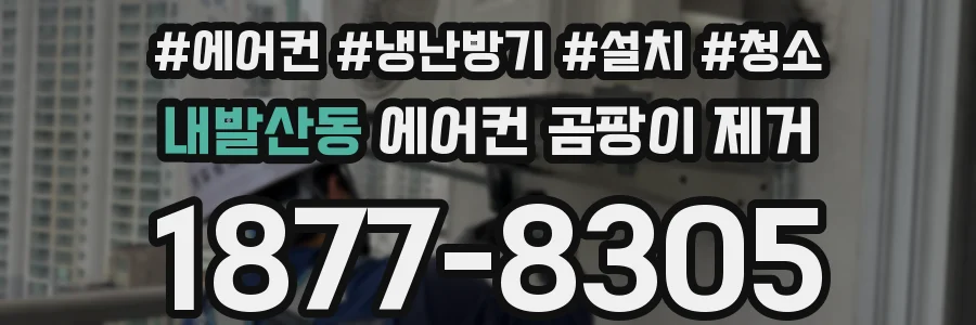 내발산동 에어컨 곰팡이 제거