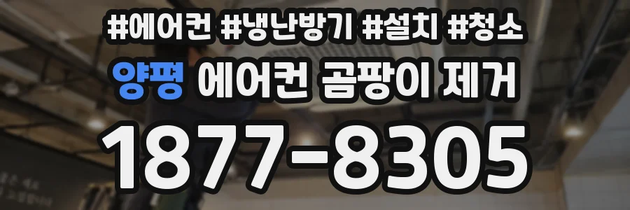 양평 에어컨 곰팡이 제거