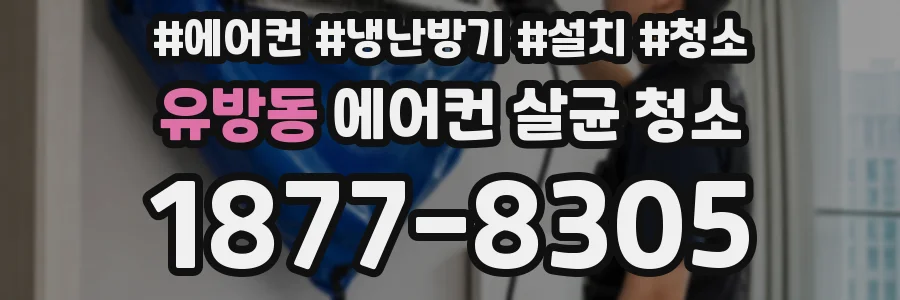 유방동 에어컨 살균 청소