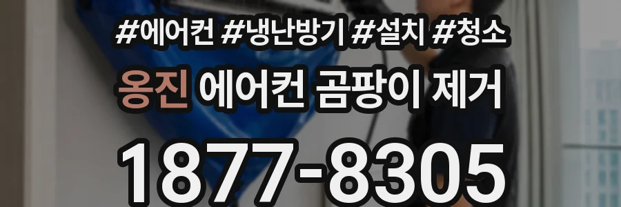 옹진 에어컨 곰팡이 제거