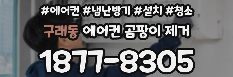 구래동 에어컨 곰팡이 제거