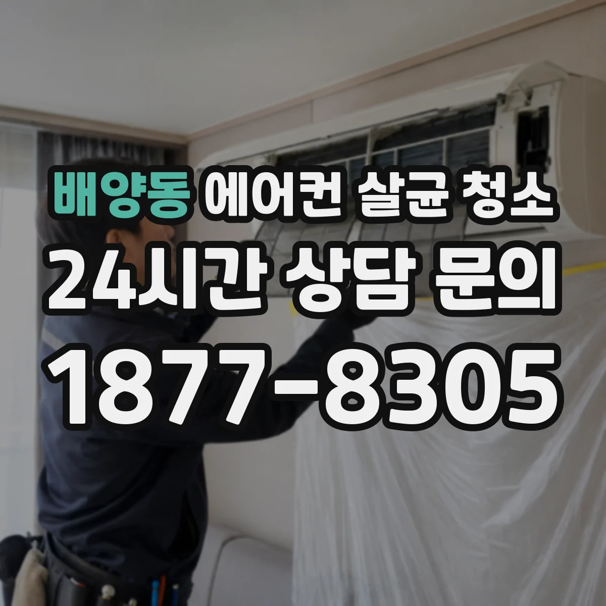 배양동 에어컨 살균 청소