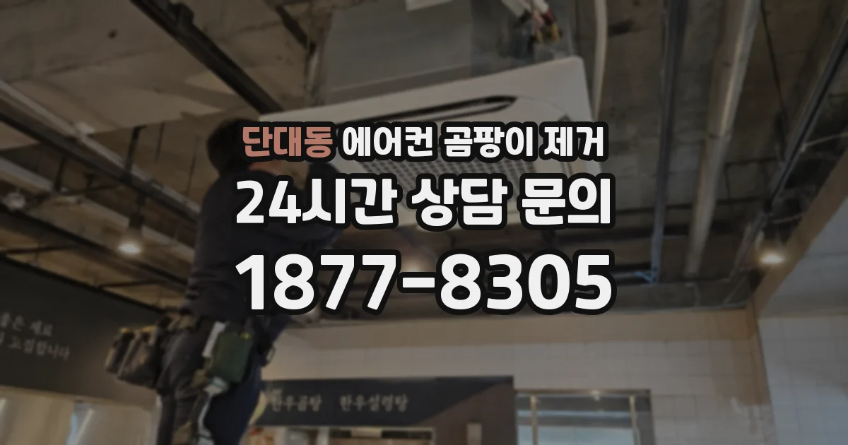 단대동 에어컨 곰팡이 제거