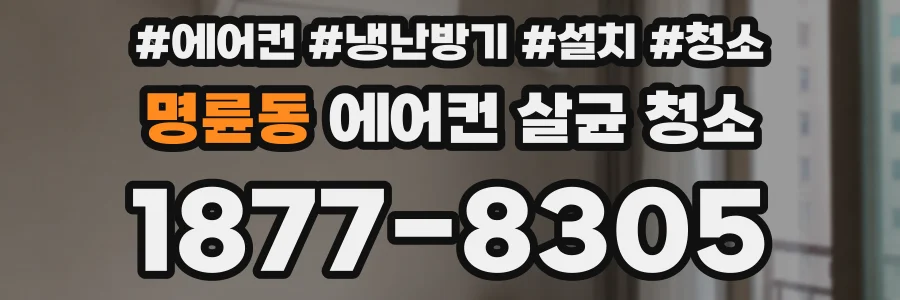 명륜동 에어컨 살균 청소