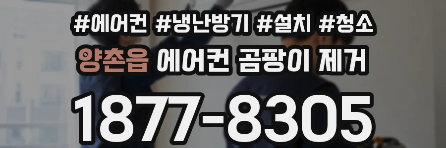양촌읍 에어컨 곰팡이 제거
