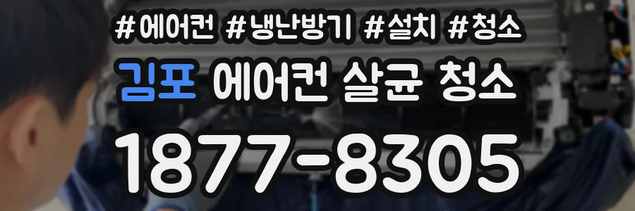 김포 에어컨 살균 청소
