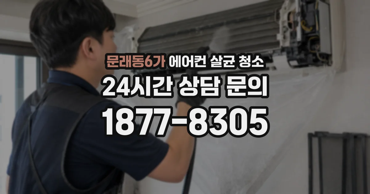 문래동6가 에어컨 살균 청소