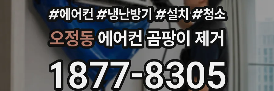오정동 에어컨 곰팡이 제거