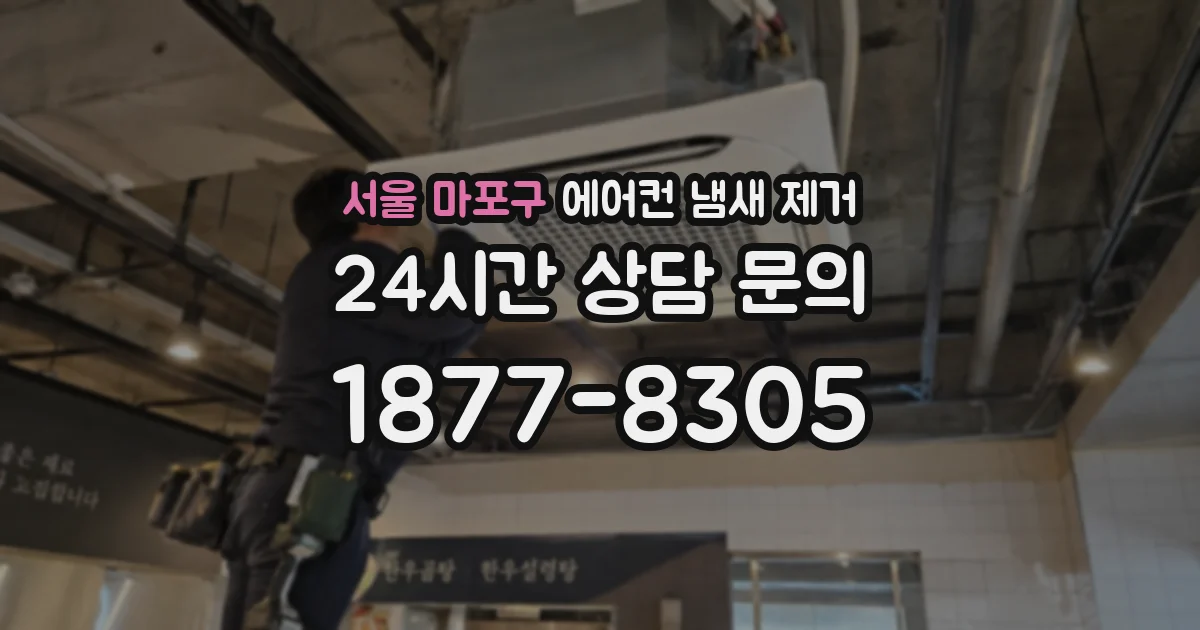 서울 마포구 에어컨 냄새 제거