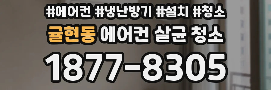 귤현동 에어컨 살균 청소