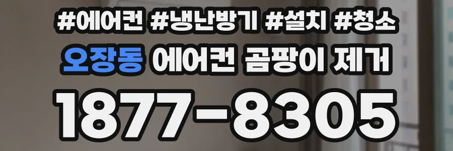오장동 에어컨 곰팡이 제거