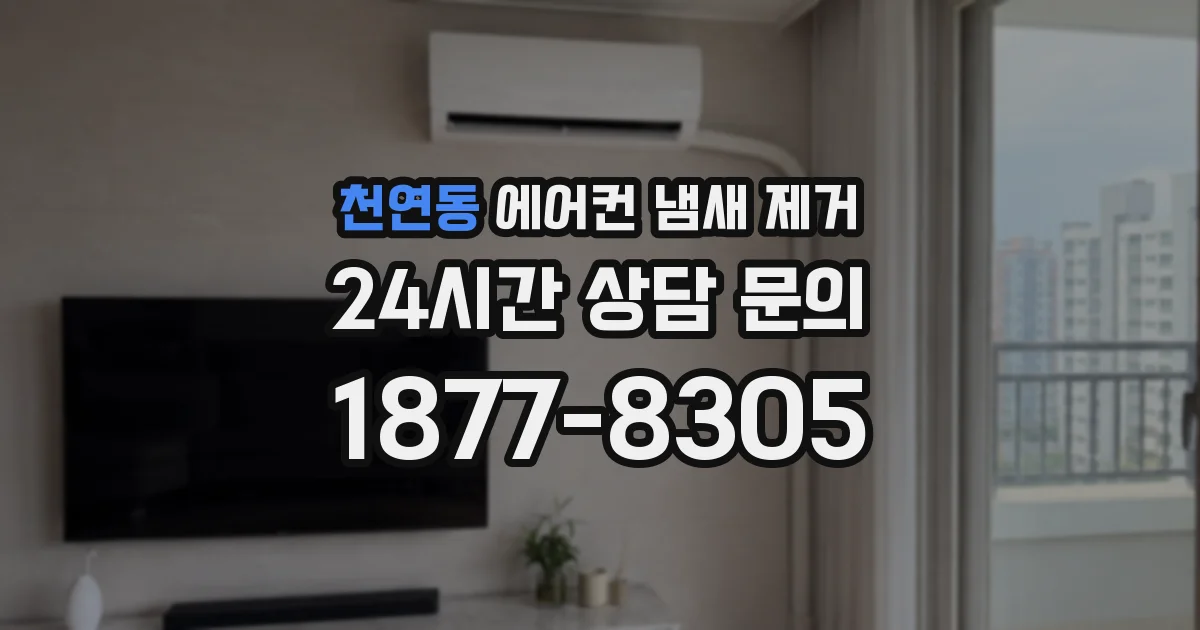 천연동 에어컨 냄새 제거