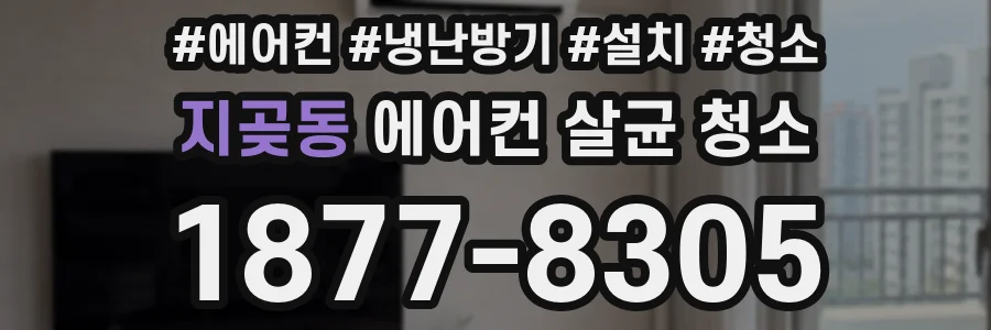 지곶동 에어컨 살균 청소