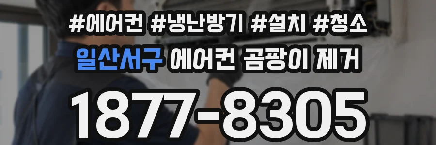 일산서구 에어컨 곰팡이 제거
